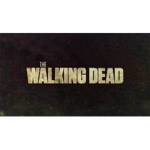 Walkingdeadbr.com